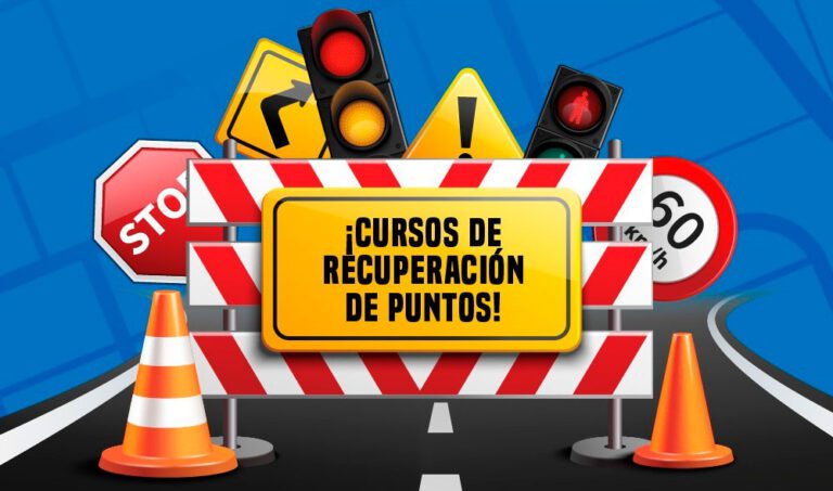 ¿Cada cuánto tiempo se puede hacer curso de recuperación de puntos?