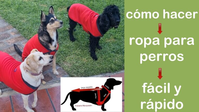 Cómo hacer ropa para perros fácil y rápido