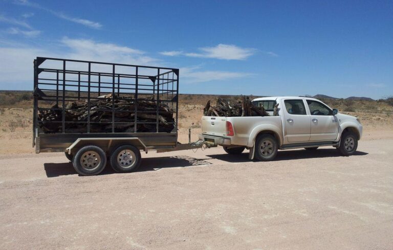 ¿Qué pasa si te paran con un remolque sin papeles?