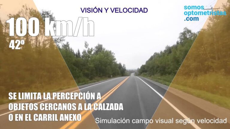 Relación entre la velocidad y el campo de visión del conductor